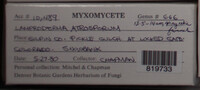 Image Associated With the Occurence